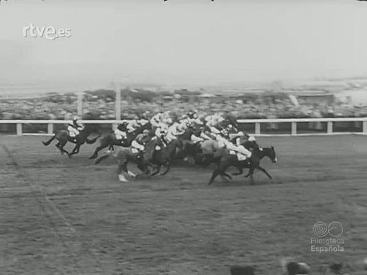 Revista Imágenes - LOS CABALLOS Y EL BALON