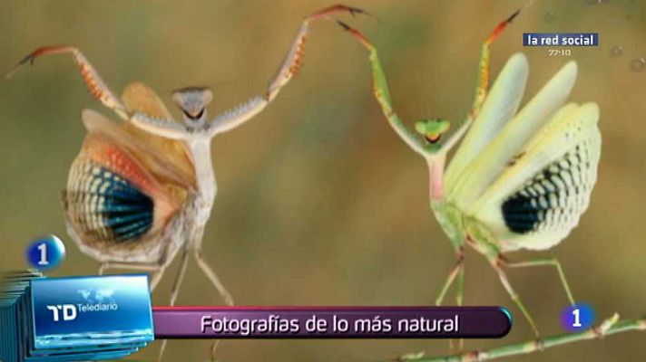 Lo que hay que ver ... - Lo que hay que ver - 09/11/14