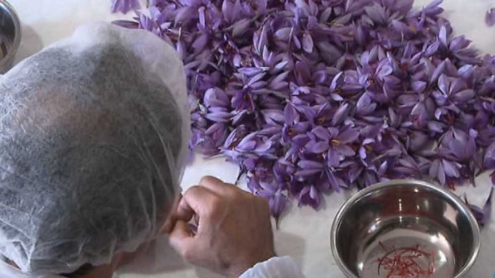 Aquí hay trabajo - Aquí hay trabajo - 10/11/14