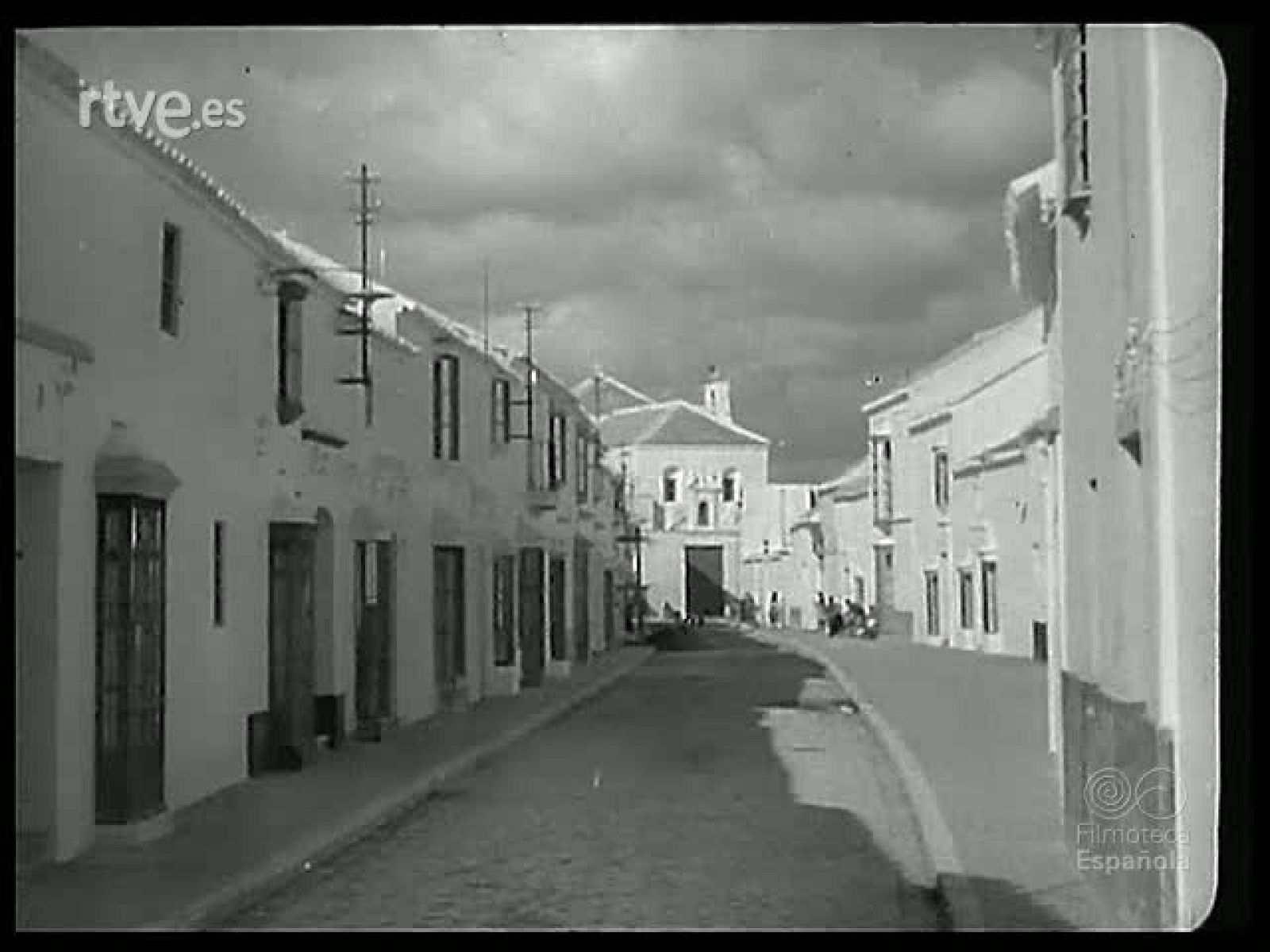 OLIVOS Y NARANJOS - Revista Imágenes | Ver