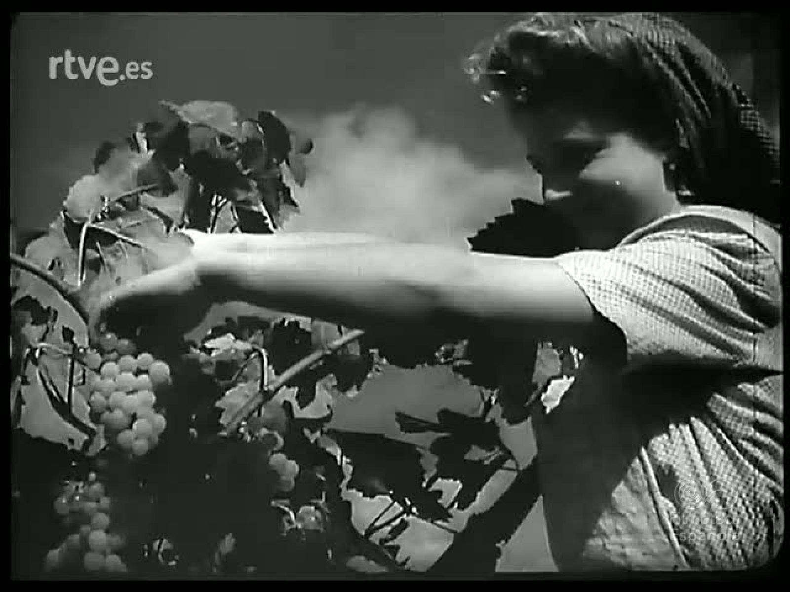 UVAS Y BOTELLAS - Revista Imágenes | Ver