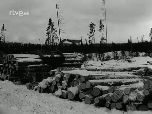 Revista Imágenes - CAMPOS Y GANADOS