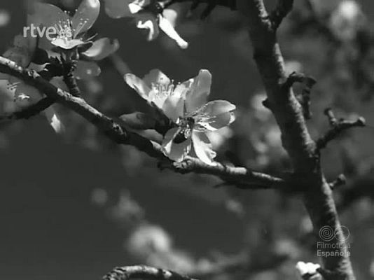 Revista Imágenes - FESTEJOS PRIMAVERALES