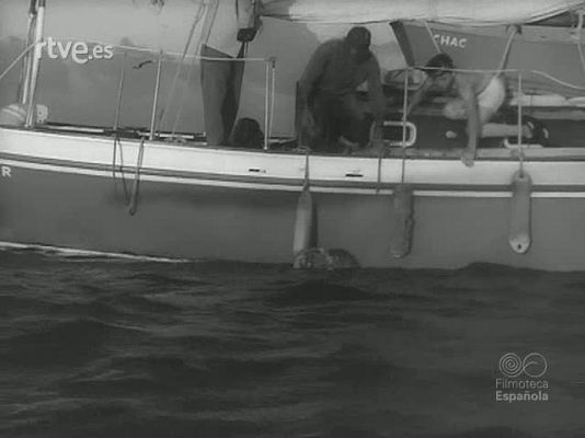 Revista Imágenes - MOTIVOS MEJICANOS