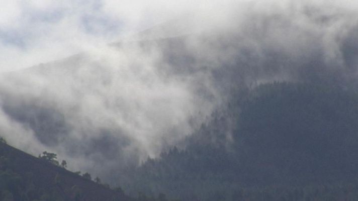 Telecanarias - El tiempo en Canarias - 10/11/14