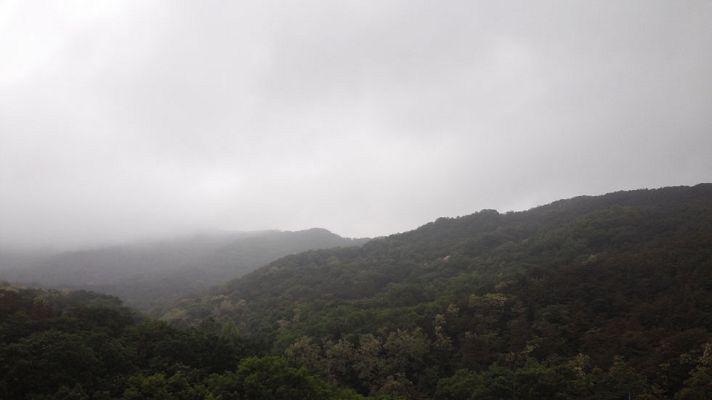 Informativo de Madrid - El Tiempo en la Comunidad de Madrid - 11/11/14