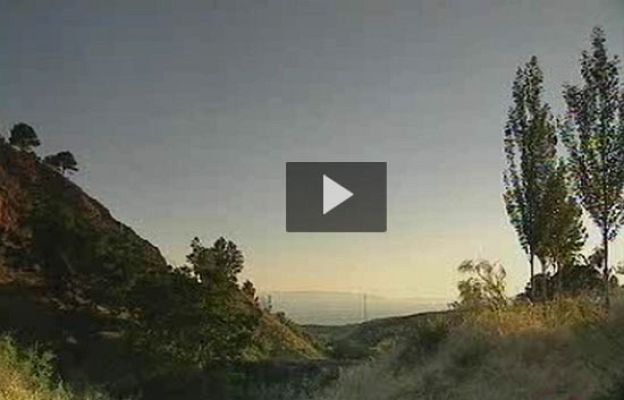  - Petición de exhumación