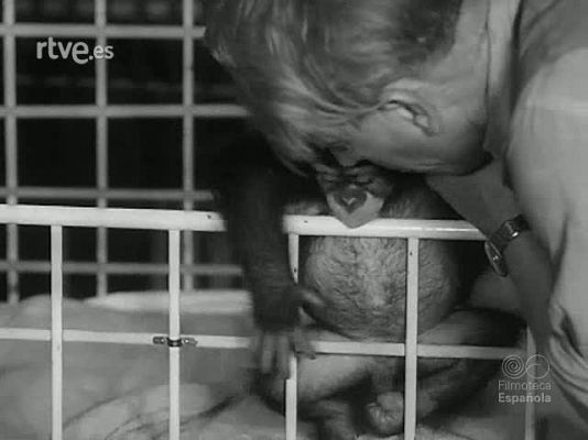 Revista Imágenes - VARIEDADES ZOOLOGICAS