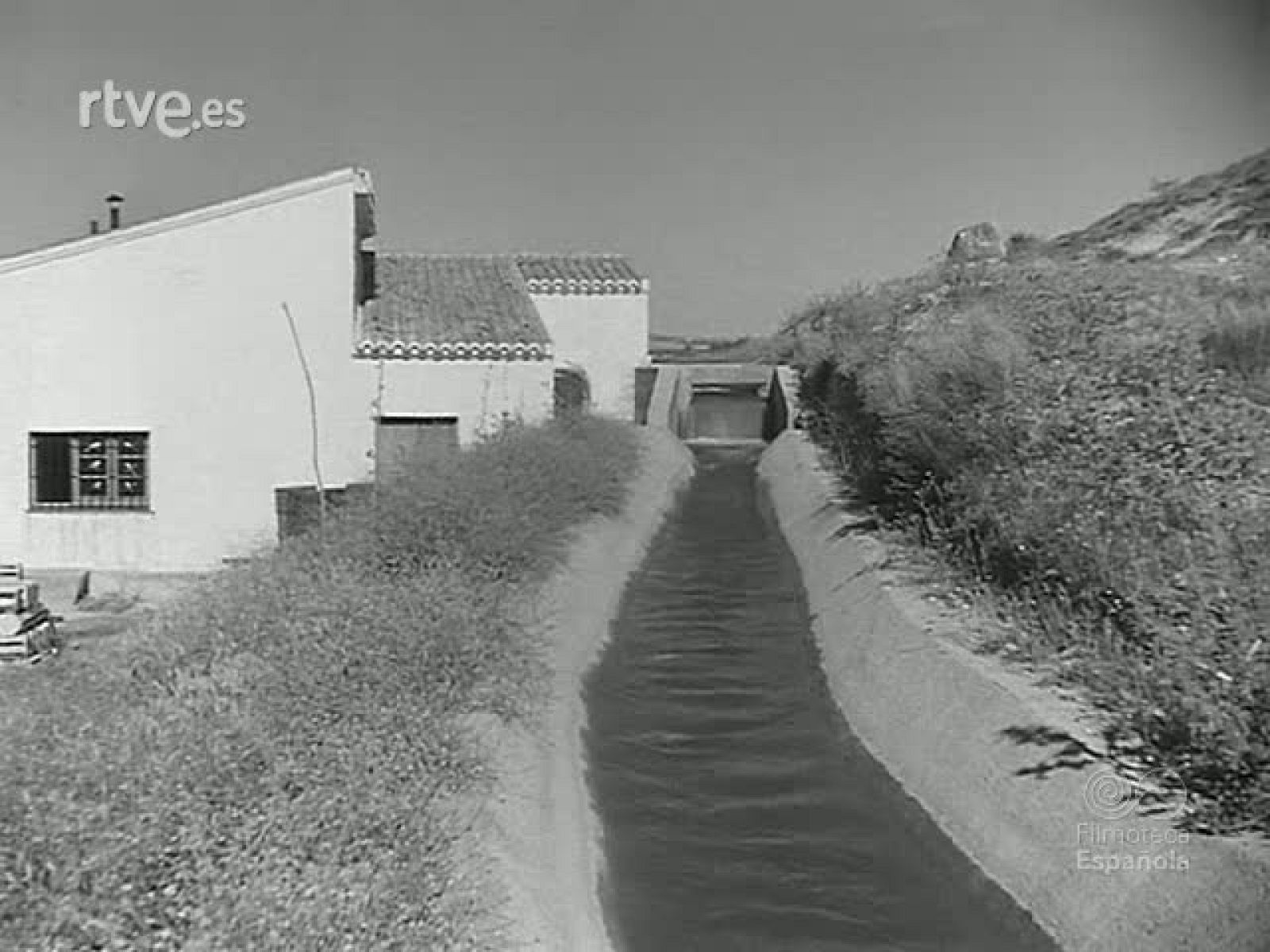 EL CAMINO ANDANTE - Revista Imágenes | Ver