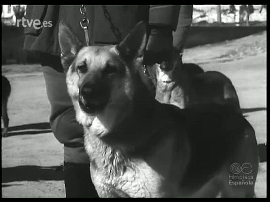 Revista Imágenes - POLICIA MODERNA