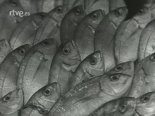 Revista Imágenes - MADRID PUERTO PESQUERO