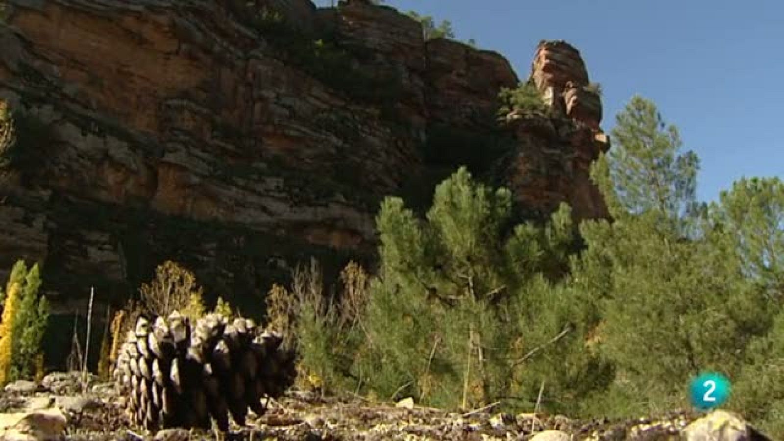 Agrosfera - En clave rural - Escalera, Guadalajara