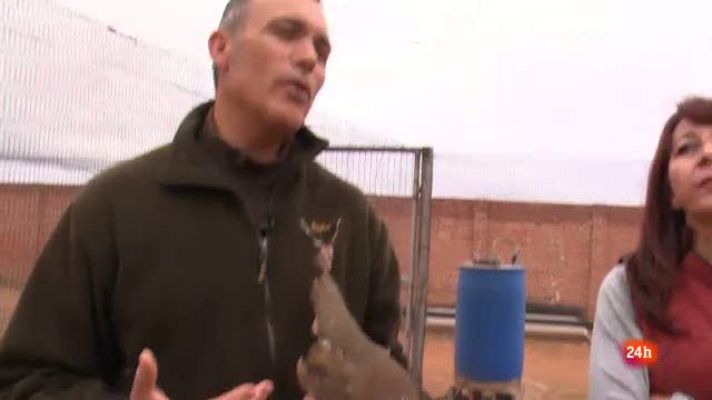 Repor - Repor - Negocio a tiro - Leo