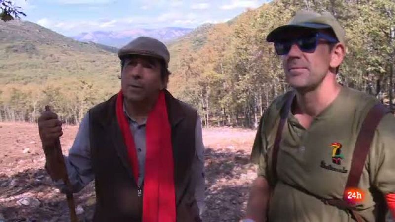 Repor - Negocio a tiro - Diego