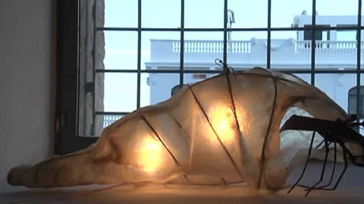 España en 24h - España en 24 horas - 12/11/14