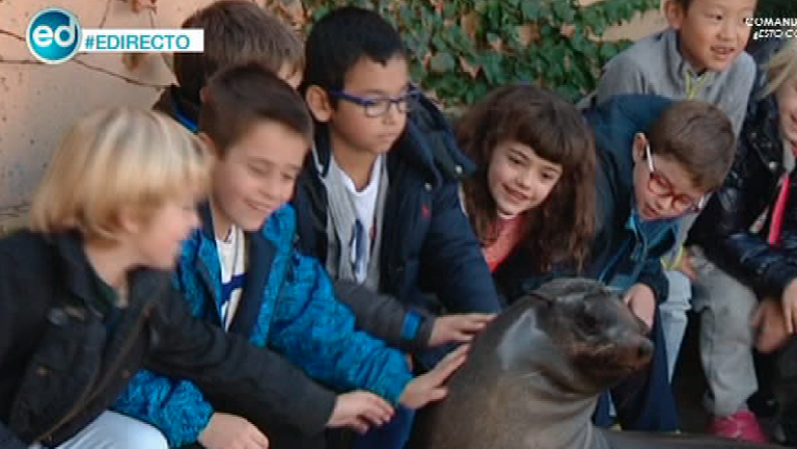 España Directo- Aprendemos a reciclar ¡rodeados de animales!
