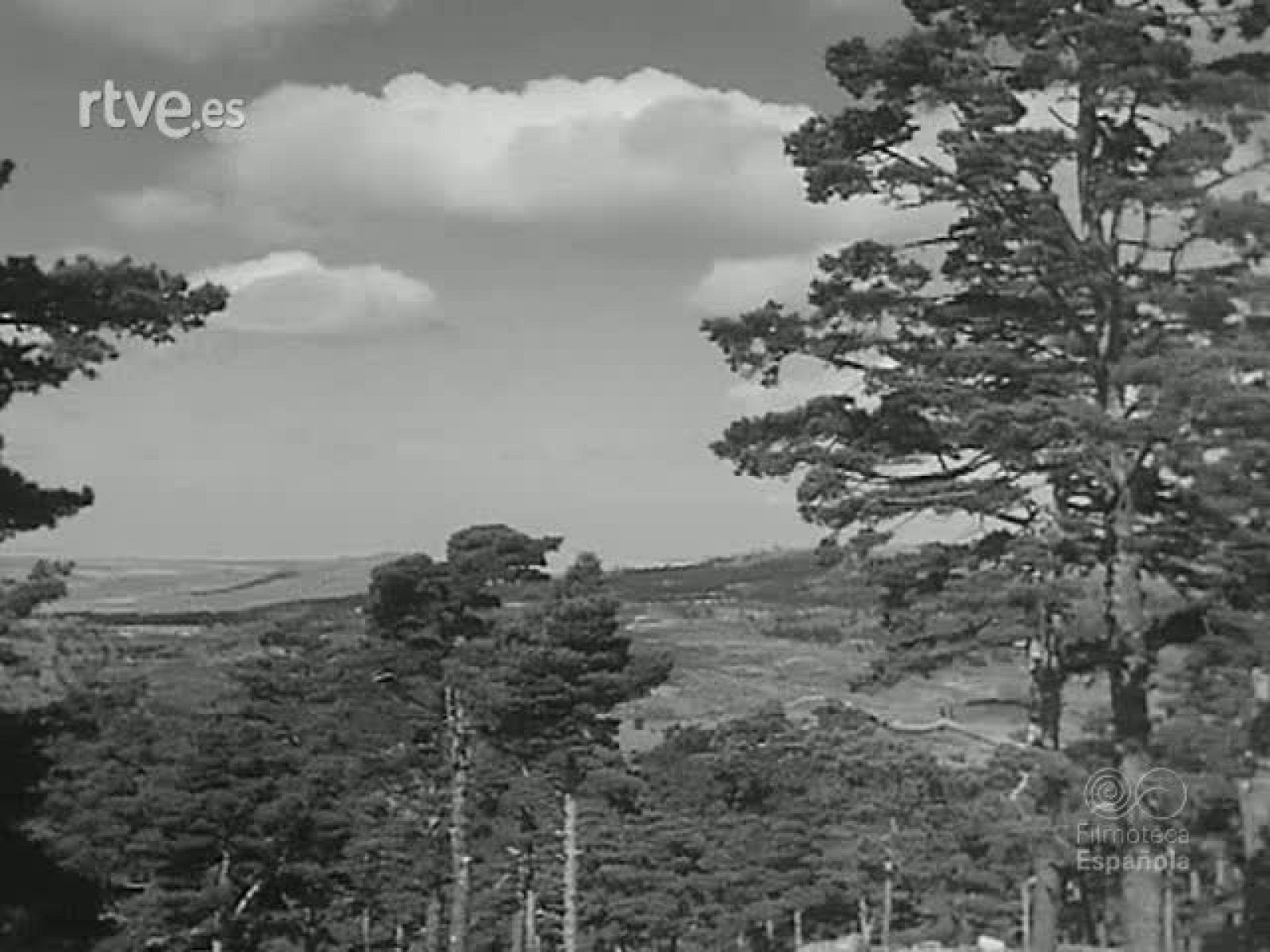 TIERRAS RECUPERADAS - Revista Imágenes | Ver