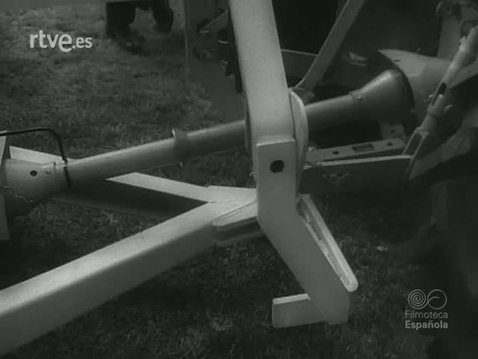 DE LOS  ANIMALES DOMESTICOS - Revista Imágenes | Ver