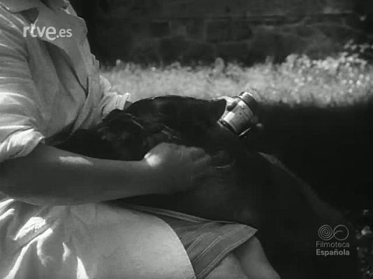 Revista Imágenes - DEL ZOO A LA PISTA