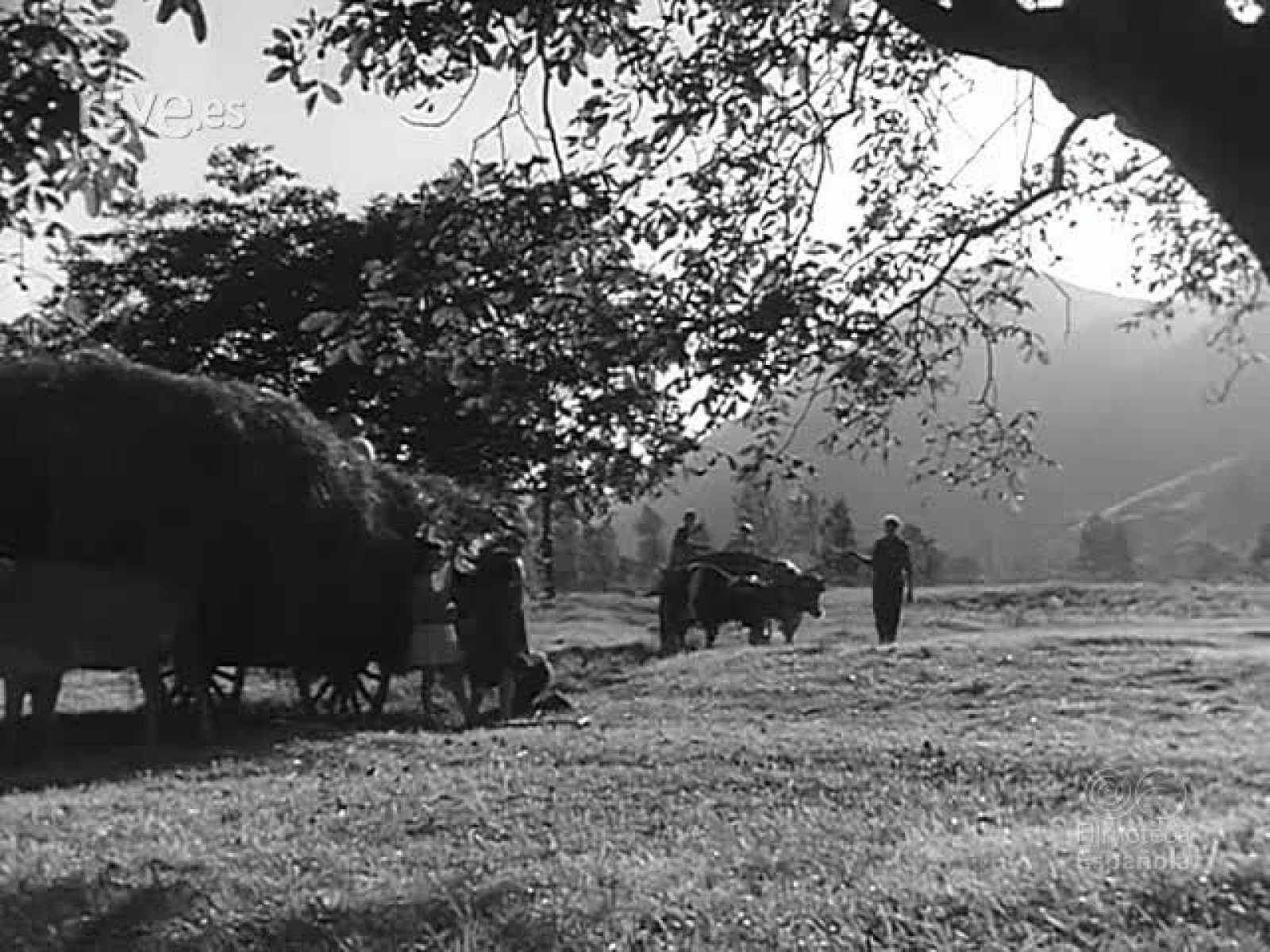 EN LA COSTA VERDE - Revista Imágenes | Ver
