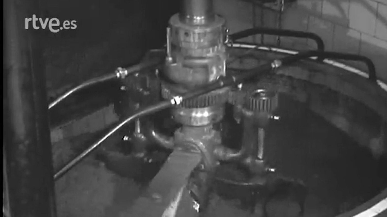 OLIVOS Y ACEITE - Revista Imágenes | Ver