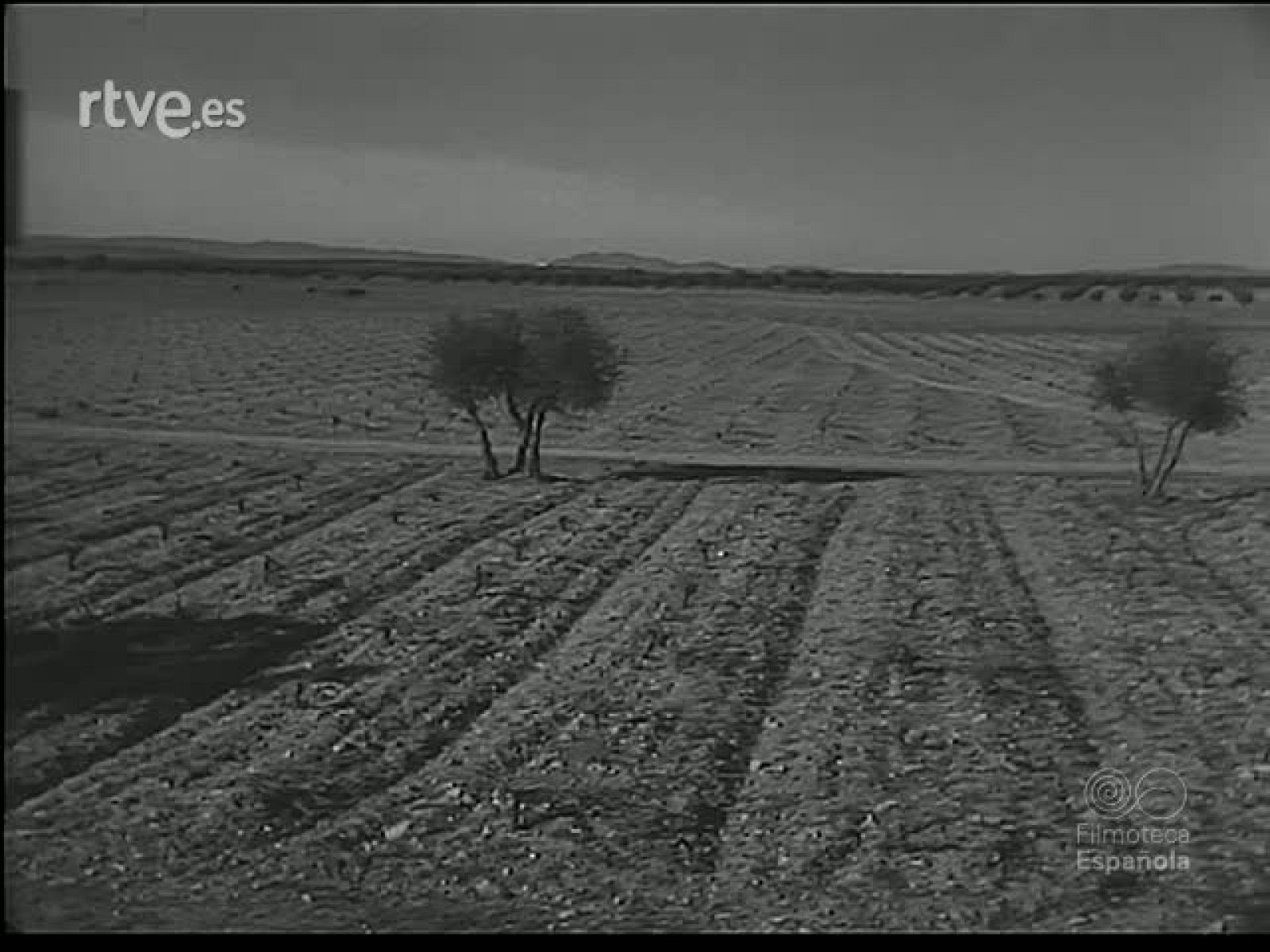 EN LAS LLANURAS MANCHEGAS - Revista Imágenes | Ver