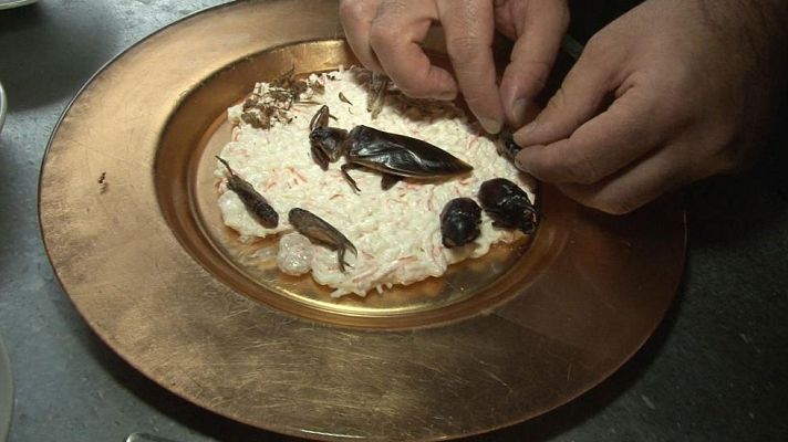 Comando Actualidad - Insectos y picante extremo