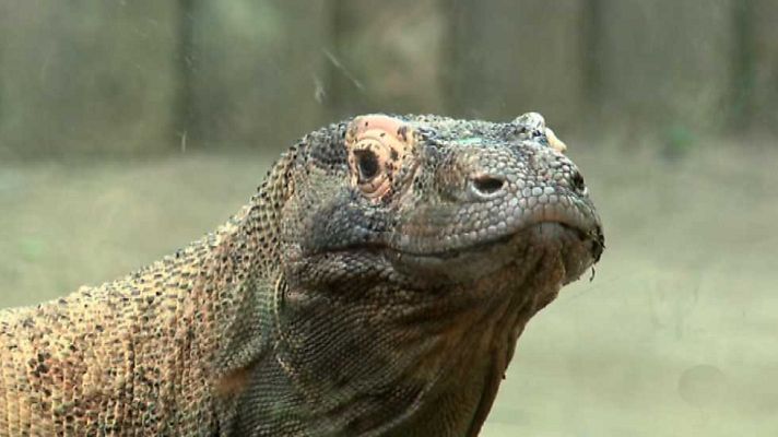 La aventura del Saber - La aventura del saber - 13/11/14