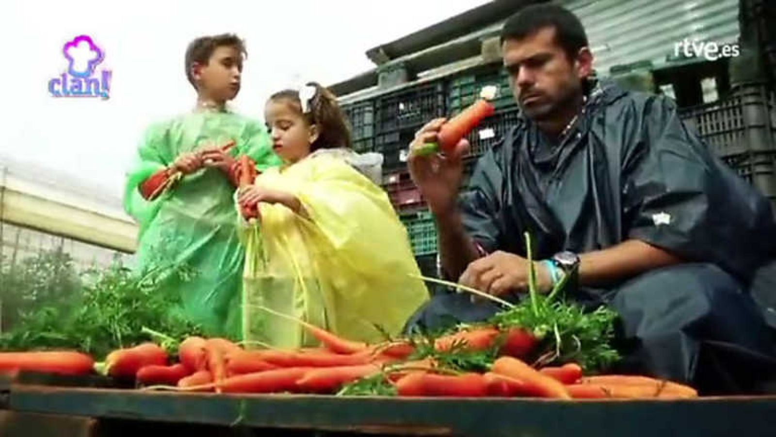 ¡A coger zanahorias! - Cocina con Clan | Ver