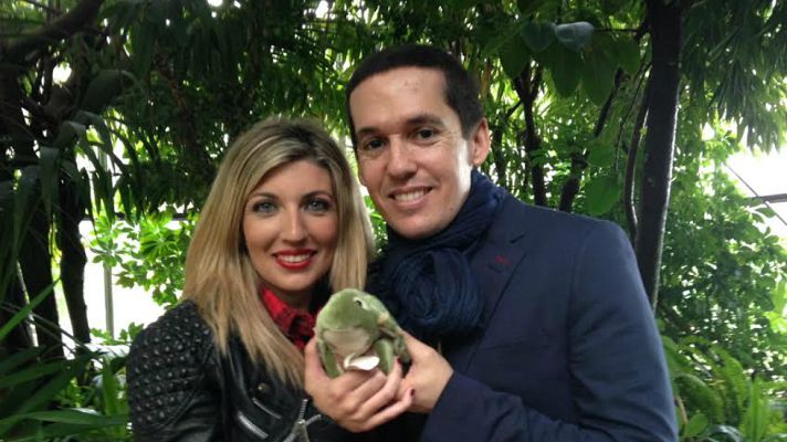 Aquí la Tierra - El secreto de las tortugas de "Maldita Nerea"