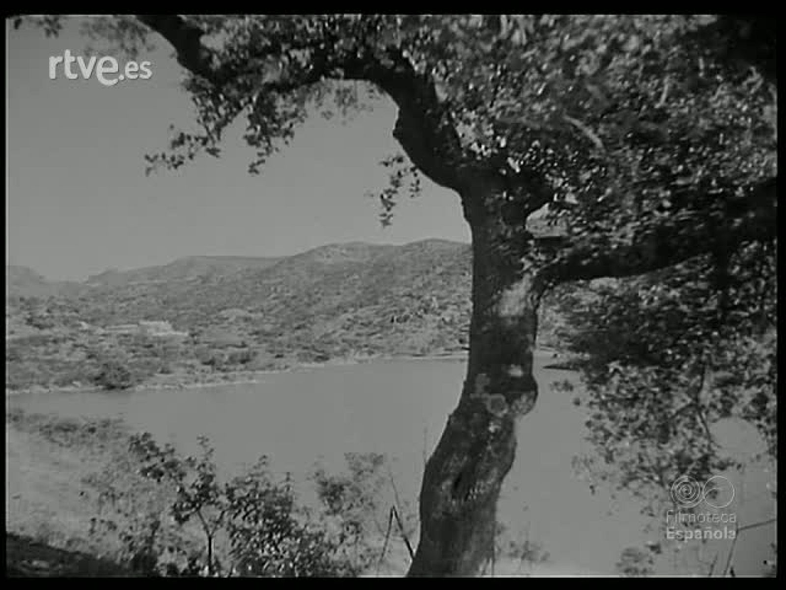 MONTERIA EN SIERRA MORENA - Revista Imágenes | Ver