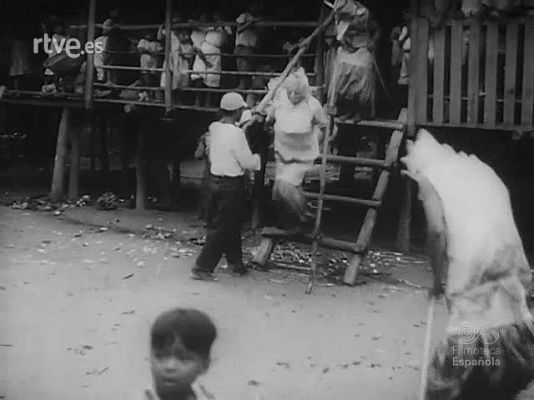 Revista Imágenes - RITOS Y FIESTAS