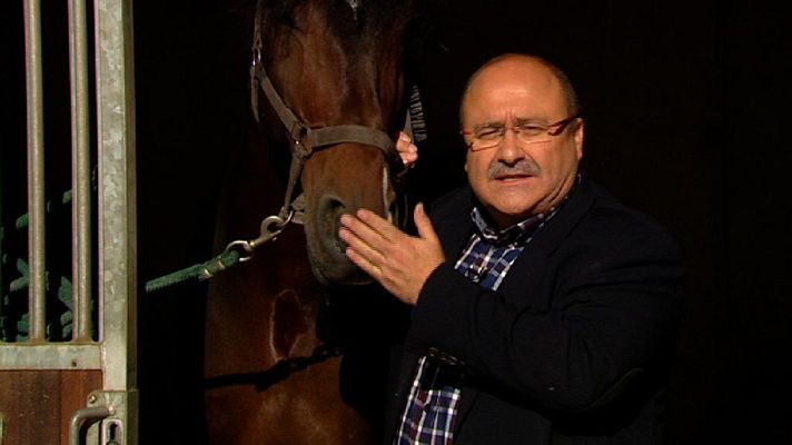 Moments - La història dels cavalls a Catalunya