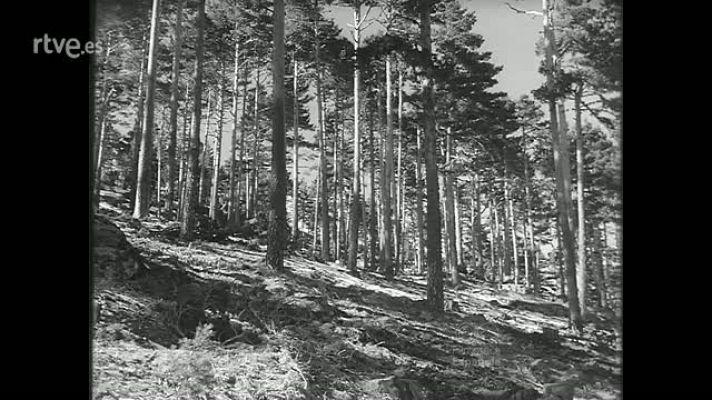 Revista Imágenes - MOTIVOS SEGOVIANOS