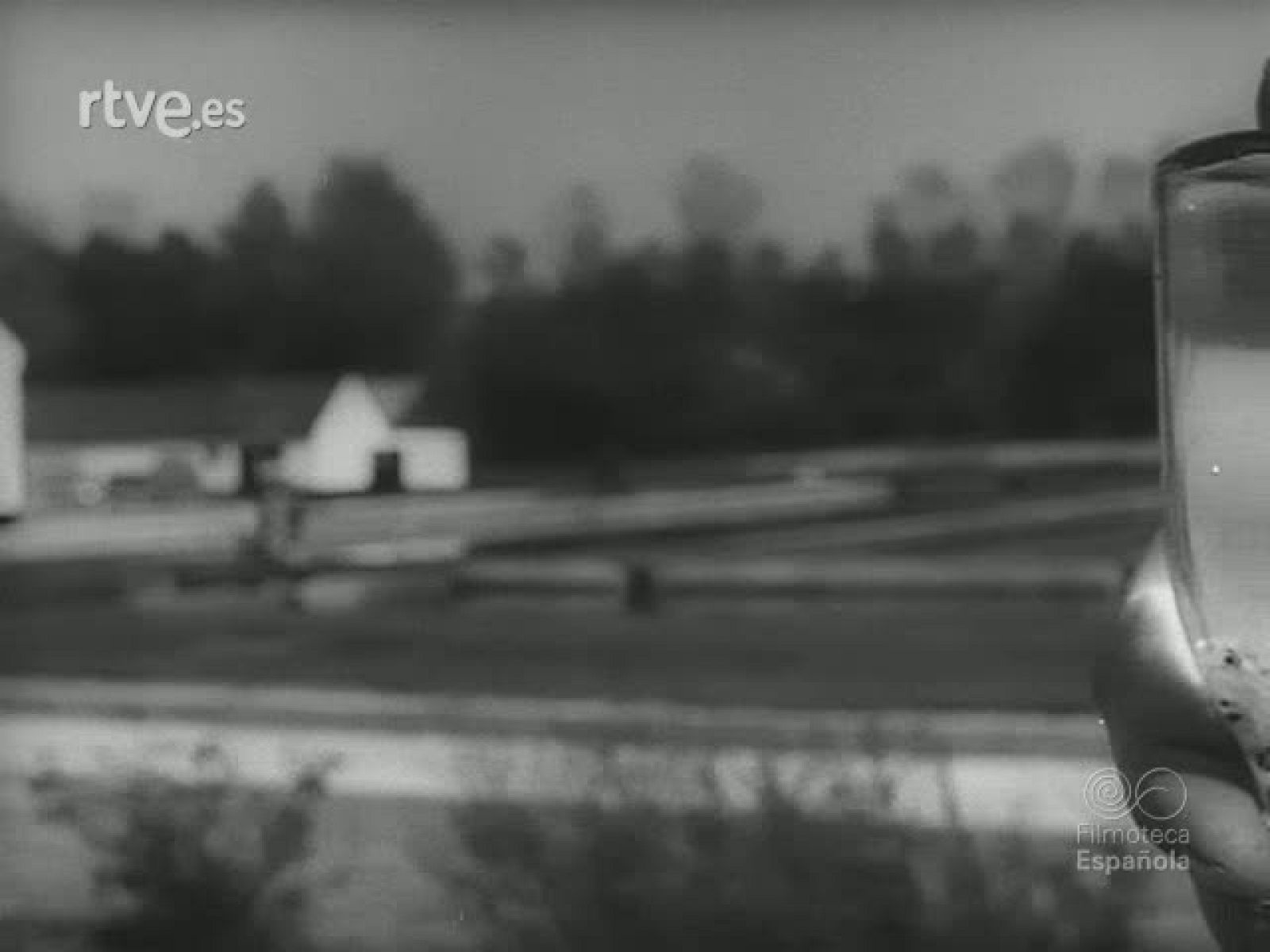 PESCADORES Y PESCADOS - Revista Imágenes | Ver