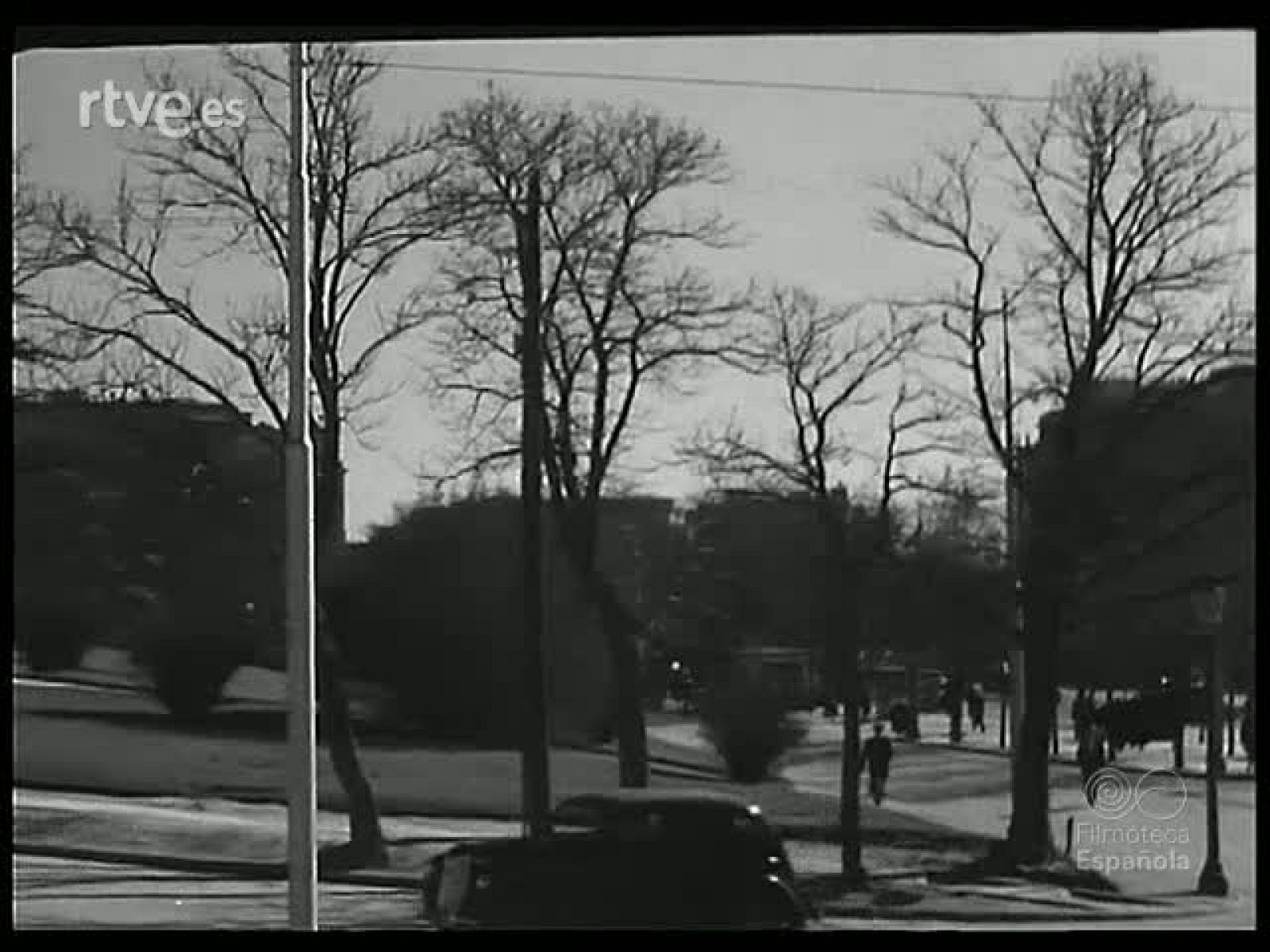 TIERRA MADRE - Revista Imágenes | Ver