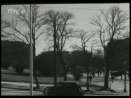 Revista Imágenes - TIERRA MADRE