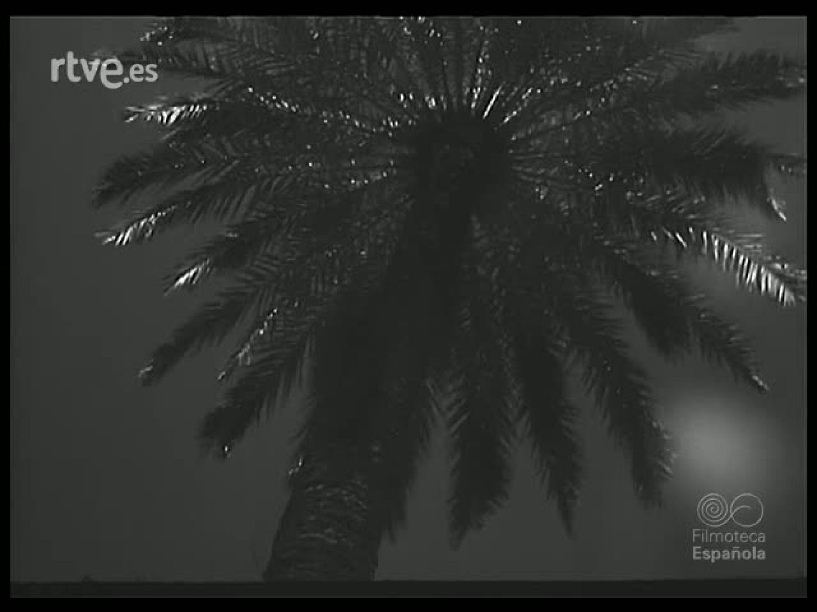 SEVILLA EN SEMANA SANTA - Revista Imágenes | Ver