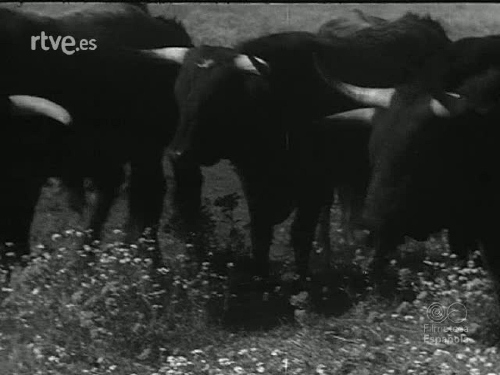 AL ENCUENTRO DE LISBOA - Revista Imágenes | Ver