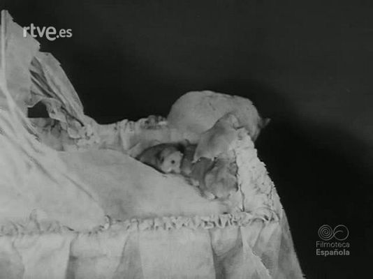 Revista Imágenes - REPERTORIO ZOOLOGICO