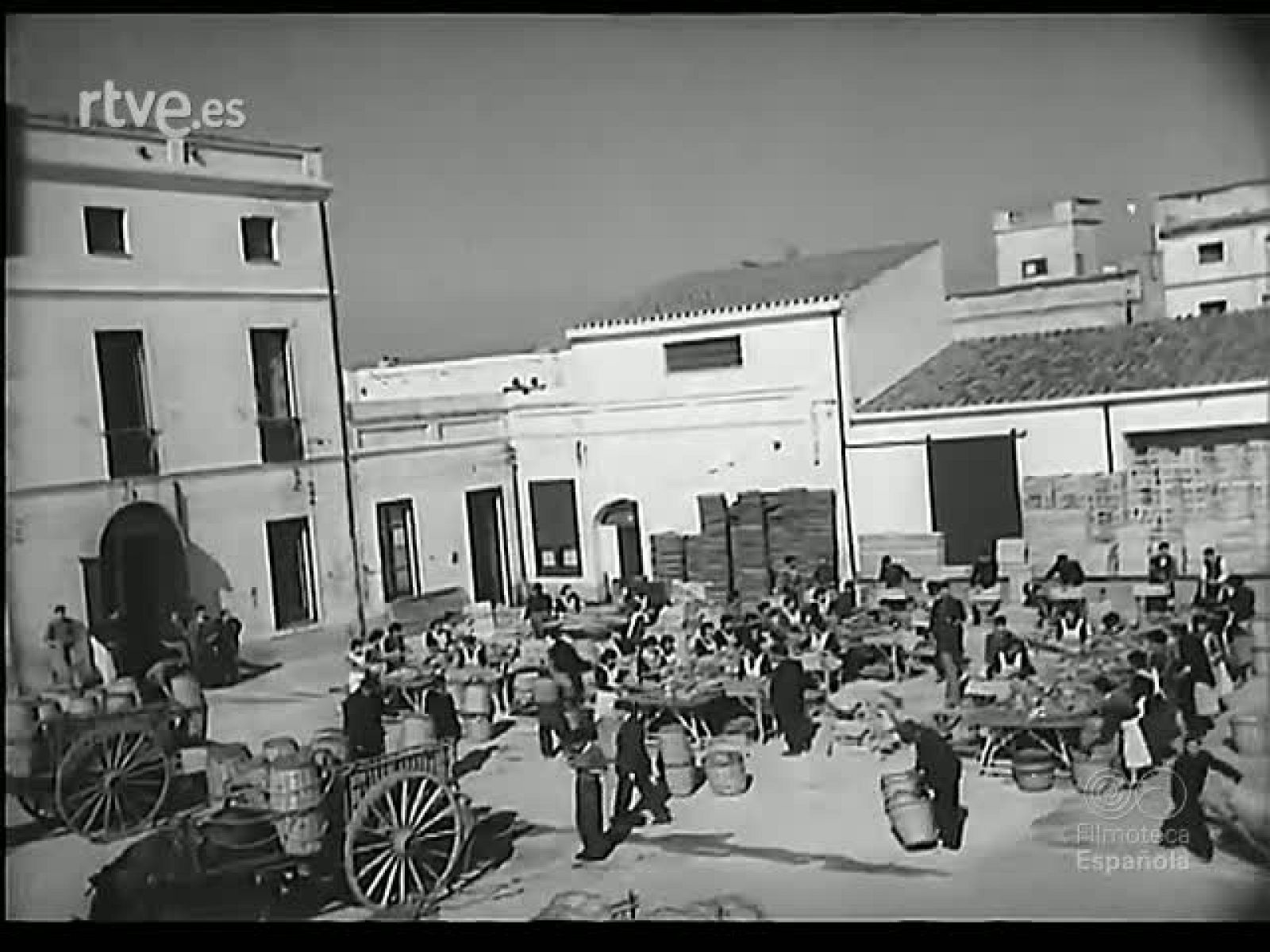 LO QUE DA LA TIERRA - Revista Imágenes | Ver