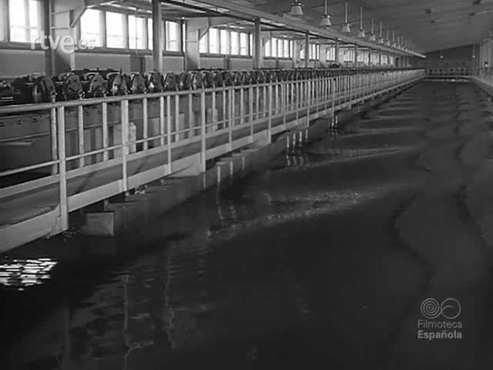 INGENIOS Y ARMAS - Revista Imágenes | Ver