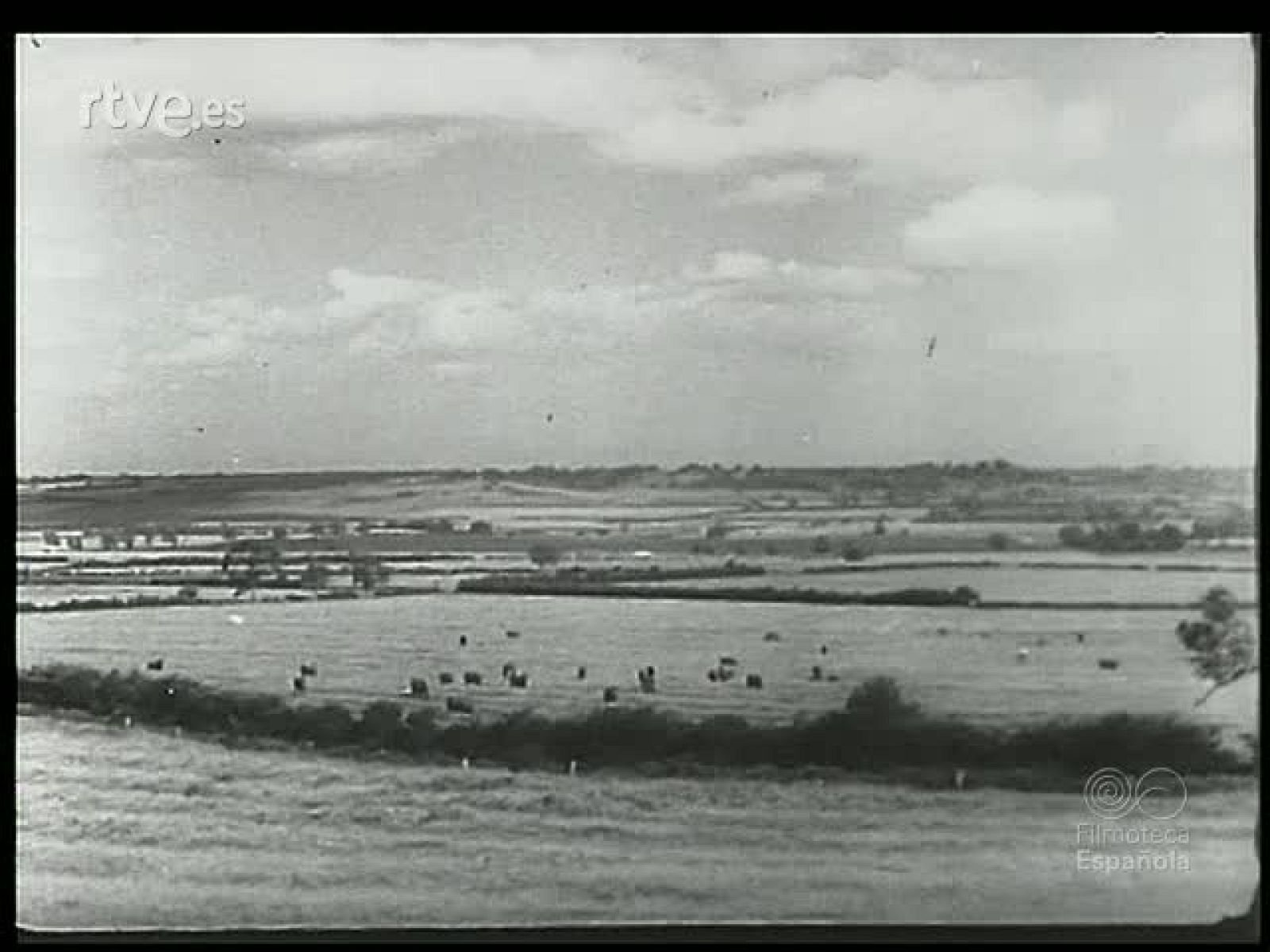 EL GANADO Y SU RIQUEZA - Revista Imágenes | Ver