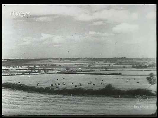 Revista Imágenes - EL GANADO Y SU RIQUEZA