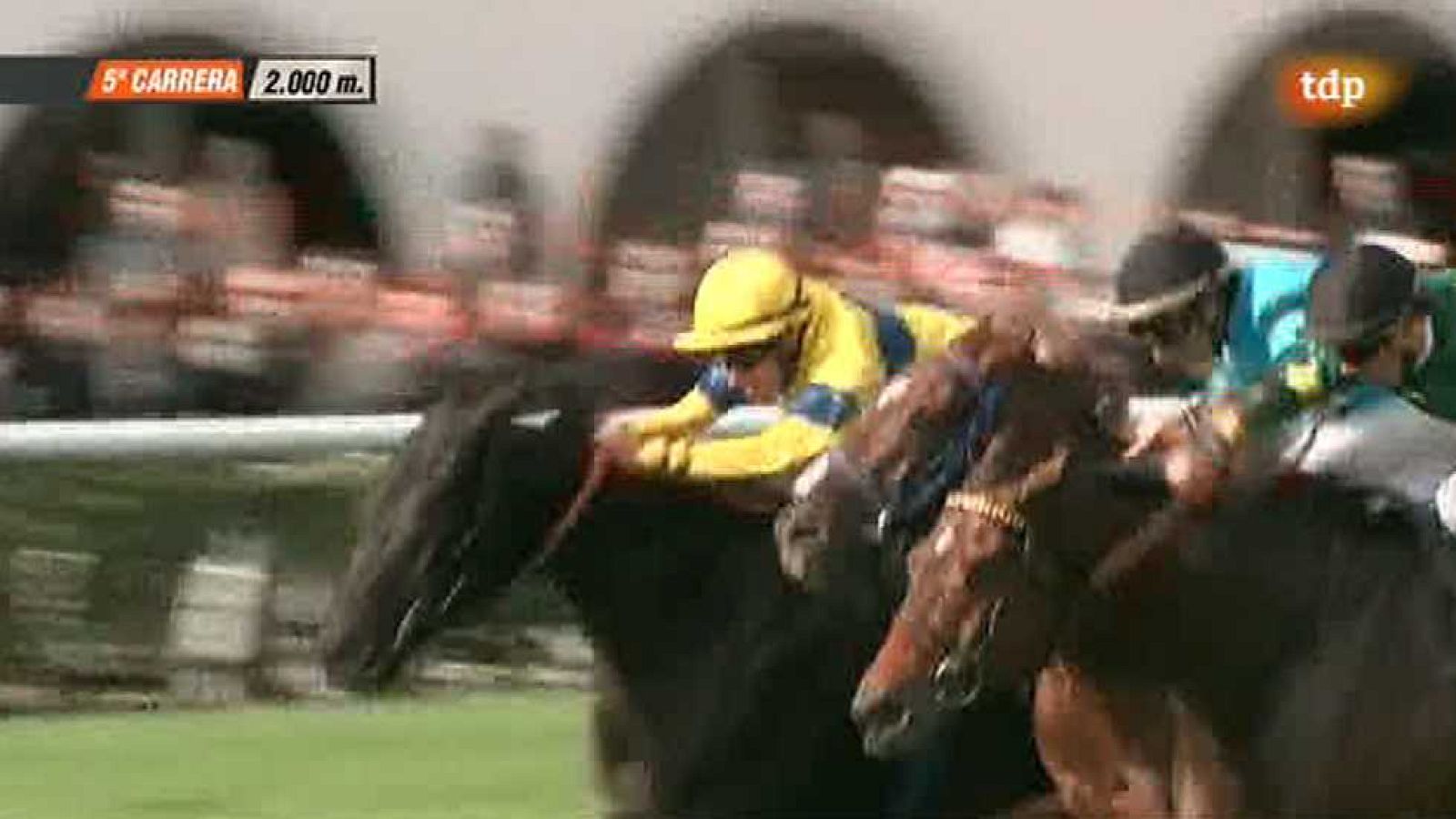 Turf - 16/11/14 - Ver ahora