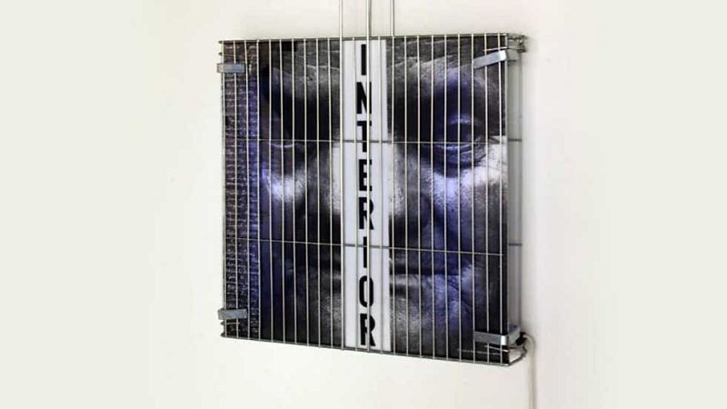 Metrópolis - Concha Jerez