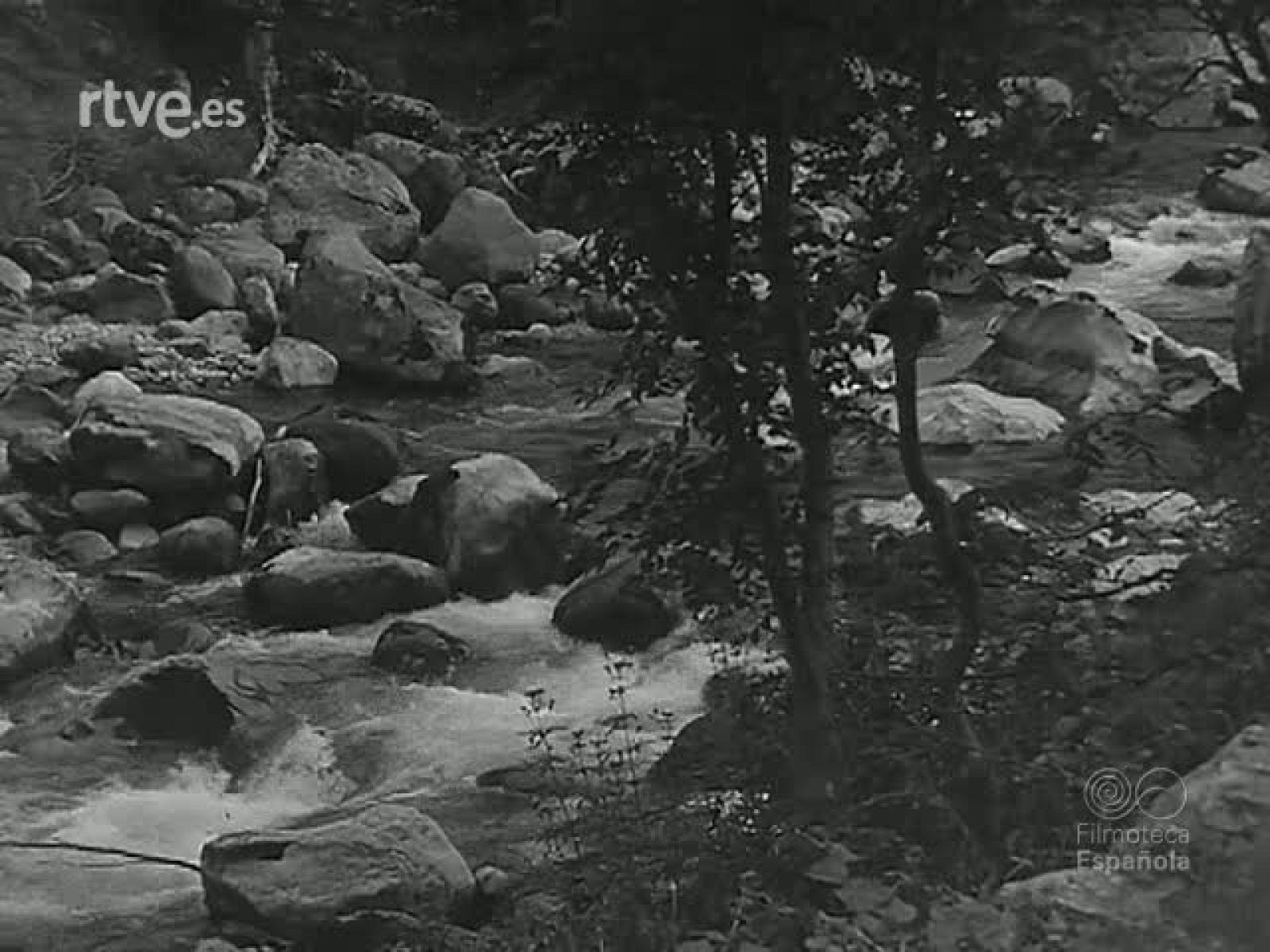 DEL MONTE AL MAR - Revista Imágenes | Ver