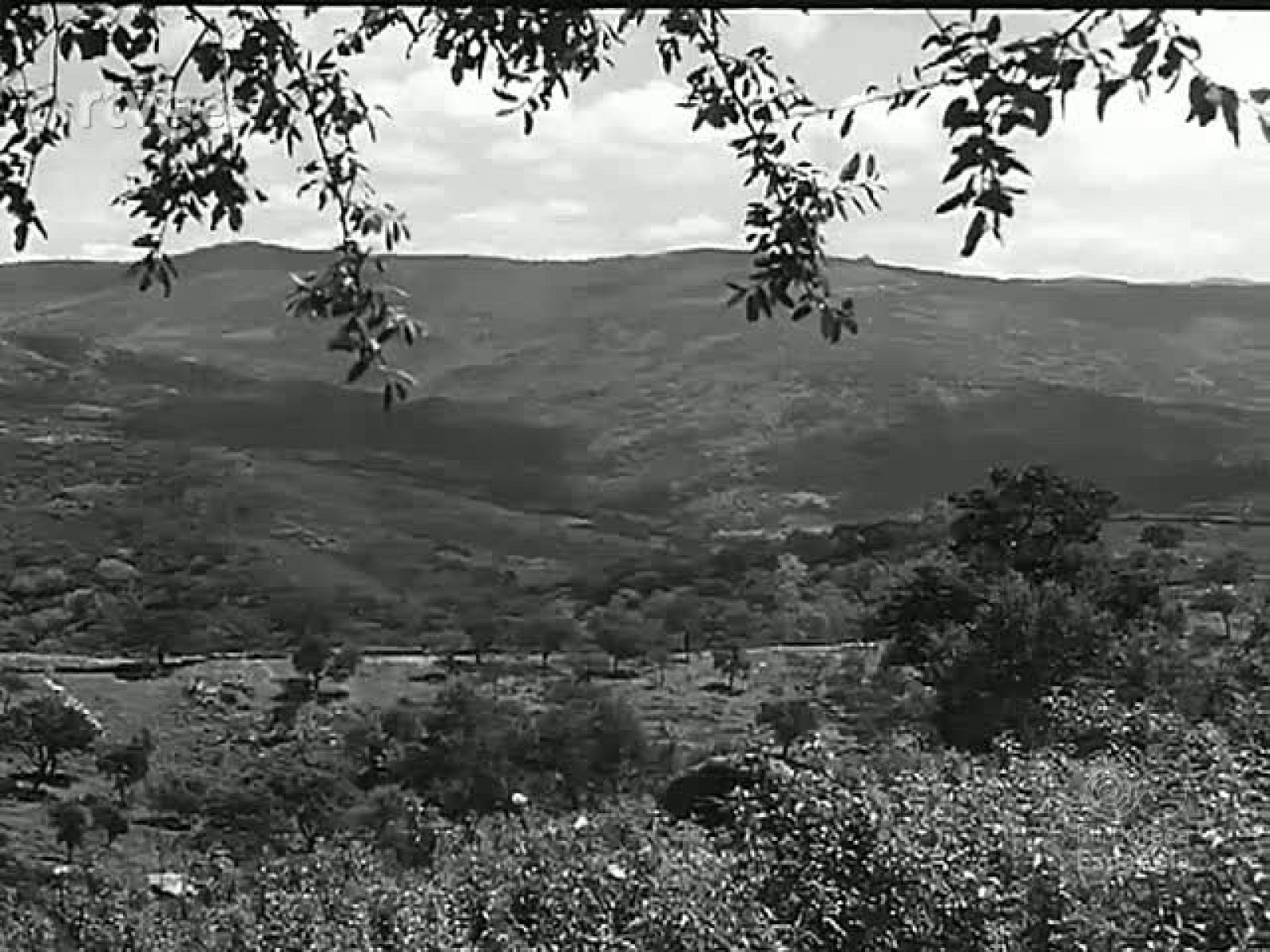 DESPERTAR JEREZANO - Revista Imágenes | Ver