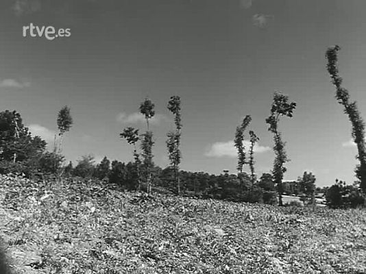 Revista Imágenes - EN EL VALLE DE PRESARAS