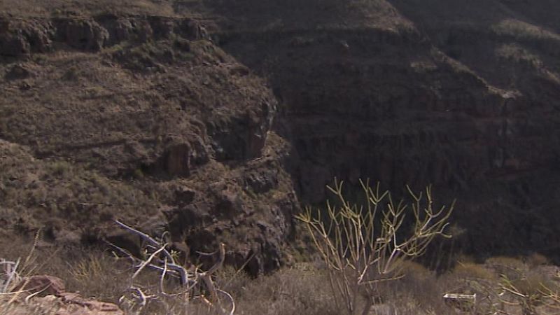 Canarias en 2'- 17/11/14 | Ver